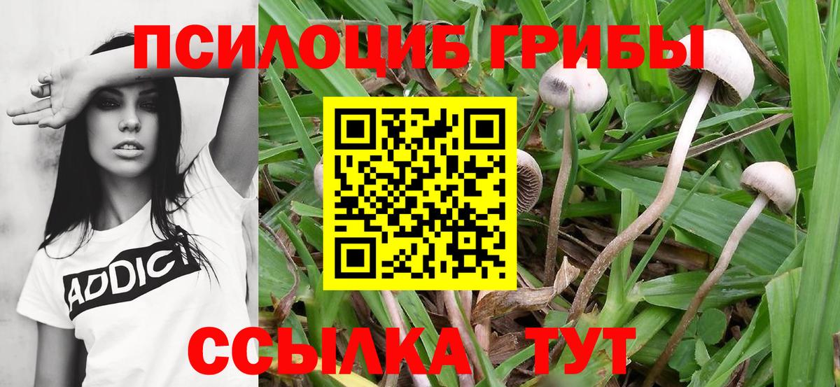 Галлюциногенные грибы мицелий Волгоград