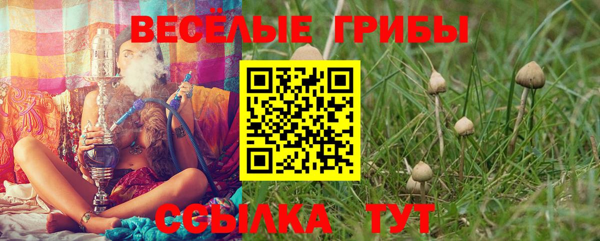 Псилоцибиновые грибы Cubensis Волгоград