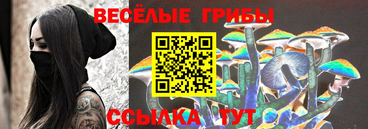 Псилоцибиновые грибы мицелий  Вход с VPN  Галлюциногенные грибы Psilocybine cubensis  Волгоград 